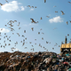 Illustration for article titled Why the Plastic Recycling Market Just Crashed